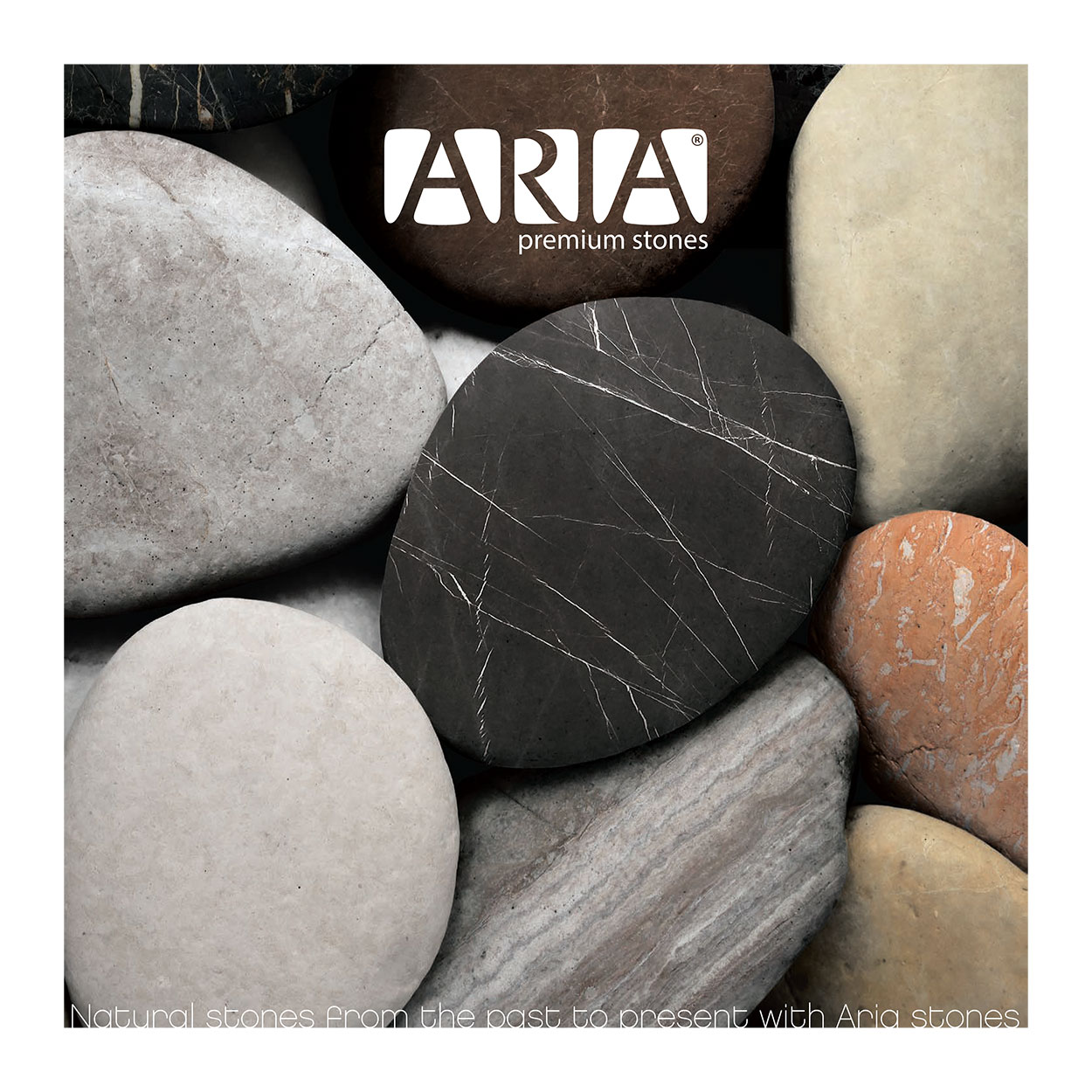 aria-2025-catalog-1